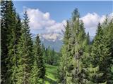 Proti planini Ovčarija, lepi razgledi na Spodnje Bohinjske gore