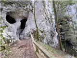 Vhod v jamo