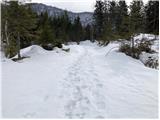 Cesta na planino Dol še vsa pod snegom.