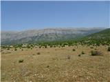 Velika Duvjakuša tam gori po Dinari sem hodil