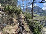Nad planino Šibje Še nekaj deset metrov čisto prave lovske poti z ruševnatimi oprimki.