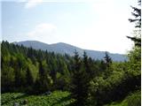 2021.06.18.13 Deska in Lastovec s planine Rzenik