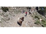 Gorski treking po Kreti Koze skoraj na vsakem koraku.