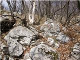 Matke - Kamnik