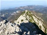 Travnik z vrha Krofičke