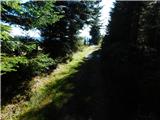 Alpl (Zisleranger Weg) - Edelweißhütte auf der Waldtonialm