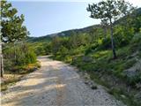 Lišnjak (cesta na Promino) - Planinska koča Promina