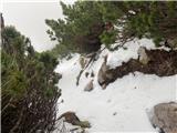 Sneg na poti iz vrha Svačice, po kateri sem sestopil.