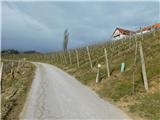 Jurij (Grušena) - Turistična kmetija Dreisiebner (Srce med vinogradi)