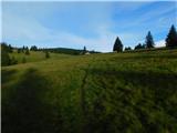 Oberfresen (Brendlwald) - Glitzhütte (Glitzalm)