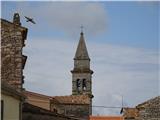 Brioni nad mestom dominira največji zvonik v Istri, visok je 62 m