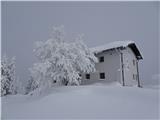 Ribniška koča ima svojo snežno drevo