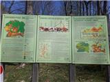 Info table v gozdnem rezervatu Pugled - Žiben