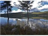 Pivška presihajoča jezera krasen bel ovčarski pes je spremljal gospodarja