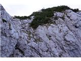 Kamniški Dedec - Staničev vrh (grebensko prečenje) Spust iz K. Dedca
