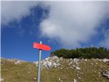 ko stopimo na markirano planinsko pot je še cca 15 min do vrha Raduhe