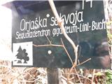 Preddvor-jezero Črnava  Tu rastejo orjaške sekvoje .