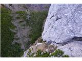 Kamniški Dedec - Staničev vrh (grebensko prečenje) Proti rušju