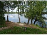 Kočevsko (Rudniško) jezero ob jezeru veliko lepih brez