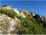 2022.10.19.18 pot na Kofce goro med ruševjem in skalovjem
