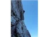 Plezalna vrv dvojček Edelrid Apus Pro Dry 7.9mm (50m)