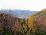 Orožnova  koča-Lisec-Četrt-Konjski vrh-Poljanski vrh-planina za Robom zlato rumeni macesni