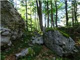 Remšendol - Moriška krnica (Alpe Moritsch) mimo lepo mahovitega skalovja