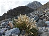 Cordillera Huayhuash 