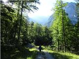 Remšendol - Moriška krnica (Alpe Moritsch) malo pred strugo potoka Torer