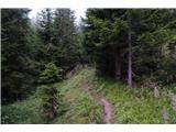 Monte Aiarnola - 2456 m Še naprej pot postane prava planinska stezica, a še vedno zelo položna