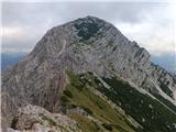 javor