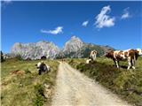 Admonter Reichenstein (2251m) Če bi bil mlajši, bi rekel, zagotovo še kdaj. Zagotovo pa še na greben levo.