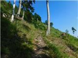 Podkraj / Unterort - Alpengasthof Siebenhütten