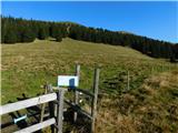 Parkirišče Hoyer (Neuhofgraben) - Lärchkogel (Glinska planina / Gleinalpe)