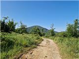 Okrugljak