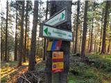 Brandlucken - Sommeralm