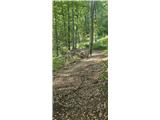 Tičnica - Šmarjetna gora