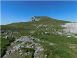 Zagelkogel