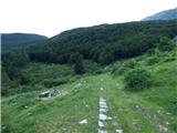 Drežniške Ravne - Planina Zapleč