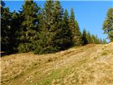 Waldheimhütte - Zirbitzkogelhütte