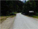 Javorje (Mala Črna) - Najevska lipa