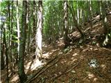 Kal-Koritnica - Lipnik (nad Lepeno)