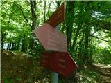 Veliki Cirnik At the crossroads.