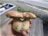 Zraščena:)