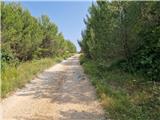 Crveni Vrh - Markovac
