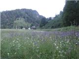 pod Dolom