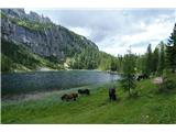 Po dolgem in vročem vzponu prideva do jezera Lago Federa. Konji so za boljšo pašo in hlajenje do kolen v vodi :)