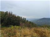 Peca (Kalnik)