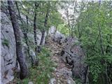 Ljubotić (Sv. Ante) - Planinsko zavetišče Tatekova koliba