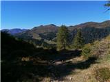 Pogled nazaj na Straniger Alm in na Monte Lodin (Findenig Kofel)